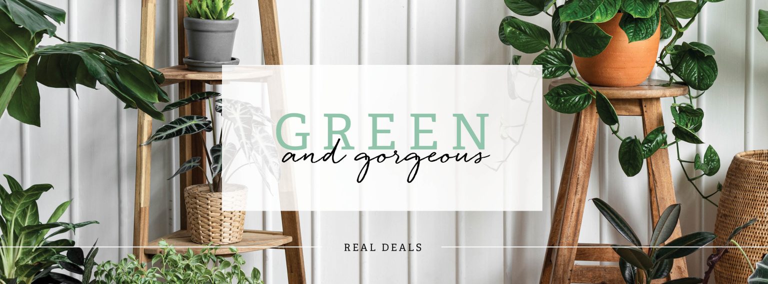Real Deals Home Decor & Fashion